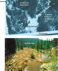 Post-fire erosion creates a tributary fan that rejuvinates the NF Boise River mainstem with sediment and wood