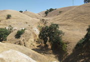 Gully erosion is a major source of sediment in the Arroyo Mocho watershed