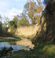 Net bank erosion is a major source of sediment to Arroyo De La Laguna