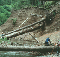 Wood recruited off the toe of a rotational landslide